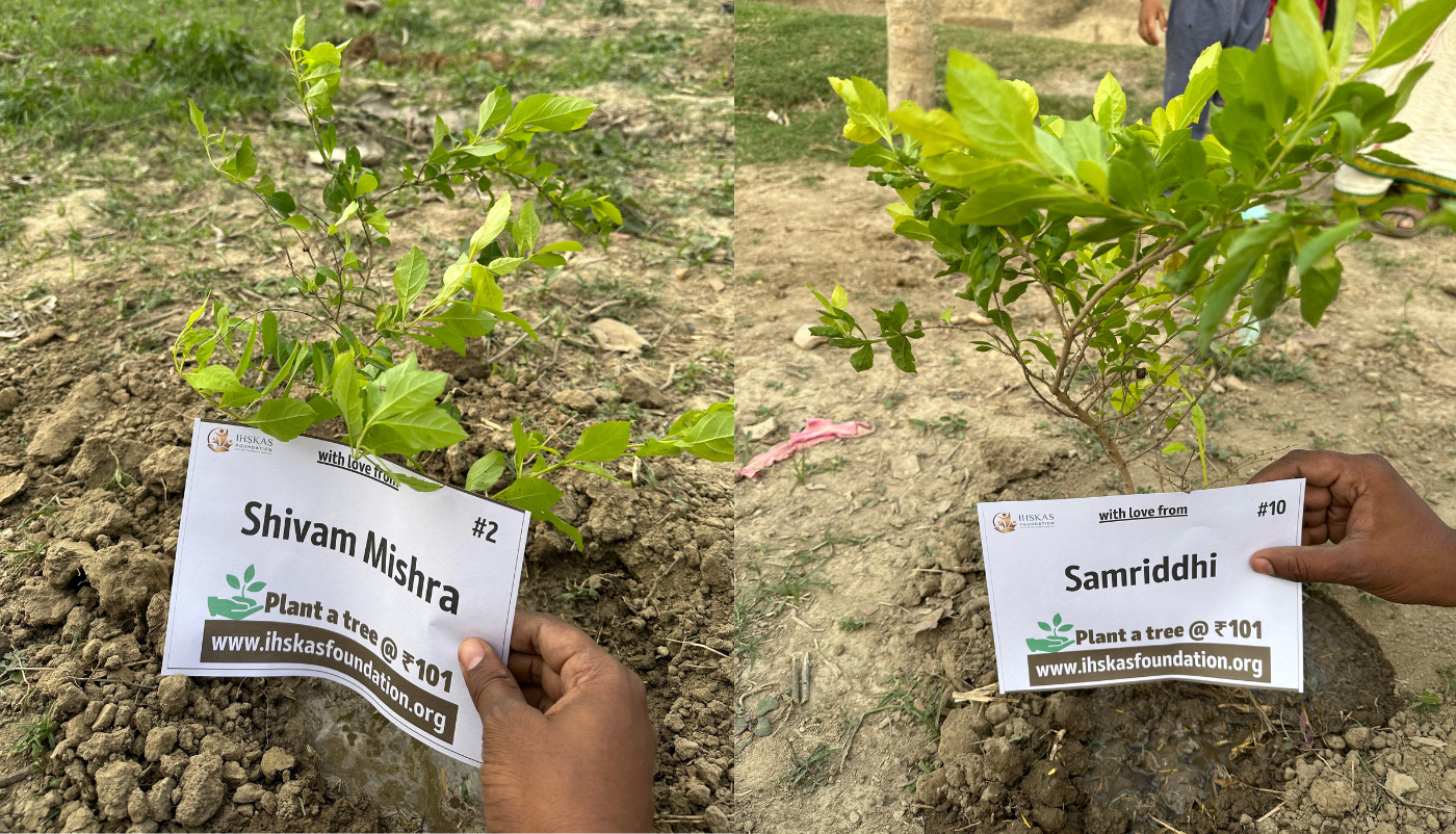 Nurture Nature: Sponsor a Tree and Help Preserve Our World