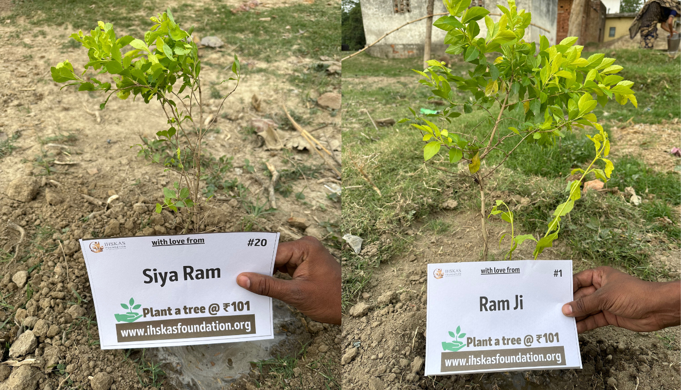 Nurture Nature: Sponsor a Tree and Help Preserve Our World
