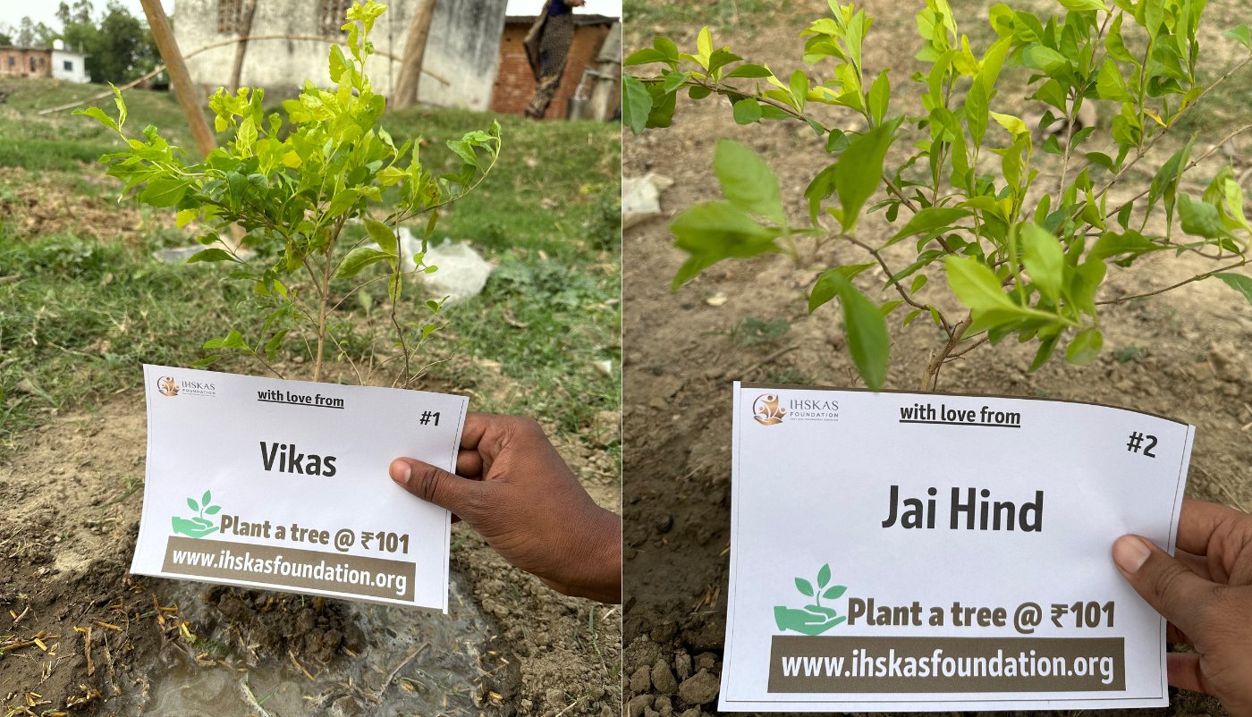 Nurture Nature: Sponsor a Tree and Help Preserve Our World